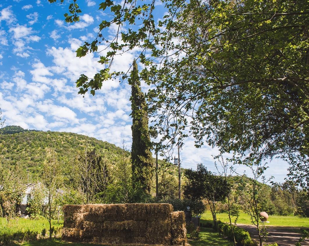 Hacienda Los Lingues Chile Valle De Colchagua Exterior foto